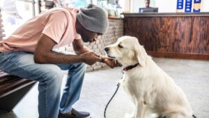 Monsoon Pet Care Tips: मानसून में कैसे रखें अपने पालतू जानवर का ख्याल, ये टिप्स…