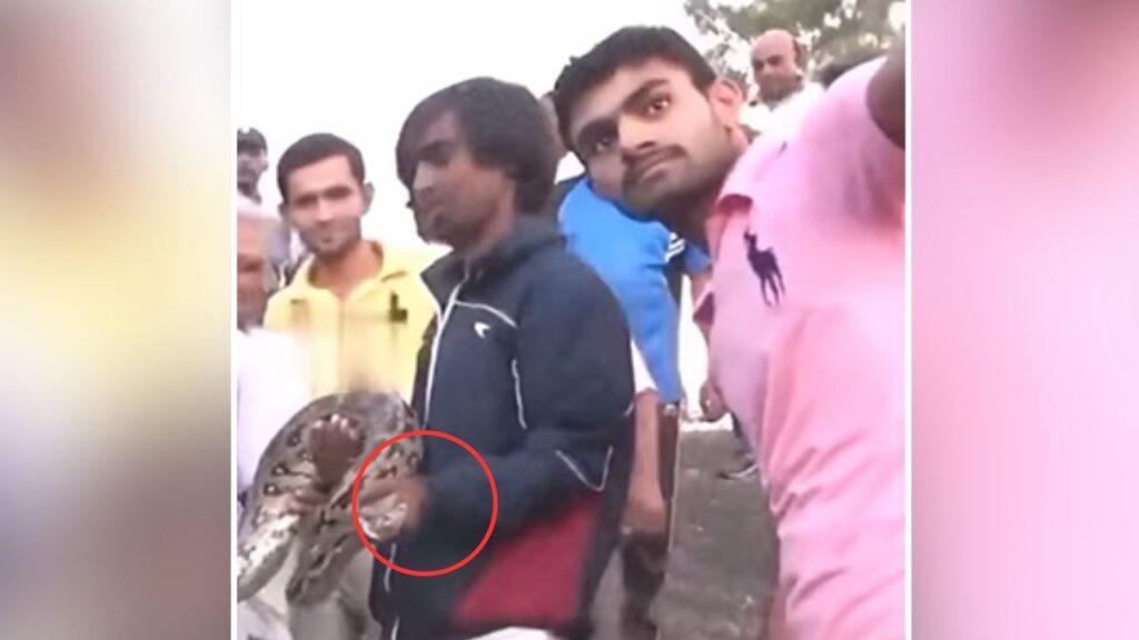 Viral: अजगर संग Selfie ले रहा था बंदा, सांप ने अचानक कर दिया अटैक; रोंगटे खड़े कर…