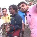 Viral: अजगर संग Selfie ले रहा था बंदा, सांप ने अचानक कर दिया अटैक; रोंगटे खड़े कर…