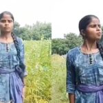 Viral Video: खेत में खड़े होकर दीदी ने बनाई रील, कर दी ऐसी हरकत लोग करने लगे ट्रोल