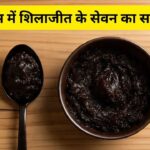 गर्मी और मानसून में शिलाजीत खाने का सही तरीका क्या है? एक्सपर्ट से जानें