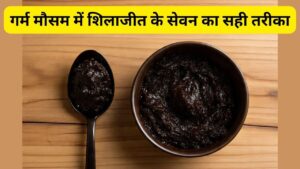 गर्मी और मानसून में शिलाजीत खाने का सही तरीका क्या है? एक्सपर्ट से जानें