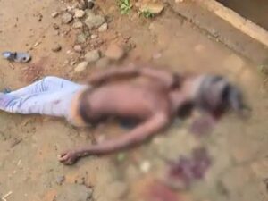 रायगढ़ में कुत्ते को घुमाने को लेकर हुए विवाद,  युवक की टांगी मारकर हत्या, 3 आरोपी… – भारत संपर्क न्यूज़ …