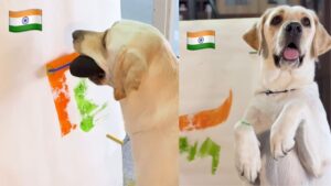 देशभक्त कुत्ता! मुंह से पेंट कर बनाया तिरंगा झंडा, दिल छू लेगा VIDEO