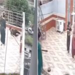 Viral Video: बंदर को भगाने में बंदे को लगा 11000V का झटका, फिर हुआ ऐसा चमत्कार, जिसकी…
