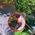 ये है असली मानवता! शख्स ने हिरण के बच्चे की बचाई जान, VIDEO देख खुश हो गए लोग