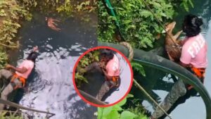 ये है असली मानवता! शख्स ने हिरण के बच्चे की बचाई जान, VIDEO देख खुश हो गए लोग