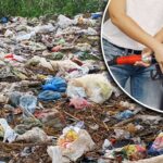 प्लास्टिक कचरे से पेट्रोल बना रहा है चीन, ऐसे काम करता है पूरा सिस्टम – भारत संपर्क