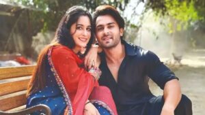 Shoaib Ibrahim: क्या कहूं तुम्हें…दीपिका कक्कड़ के जन्मदिन पर पति शोएब… – भारत संपर्क
