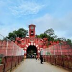 वीकेंड के लिए परफेक्ट है पटना से सिर्फ 120km ये जगह, हिल स्टेशन जैसा आएगा फील