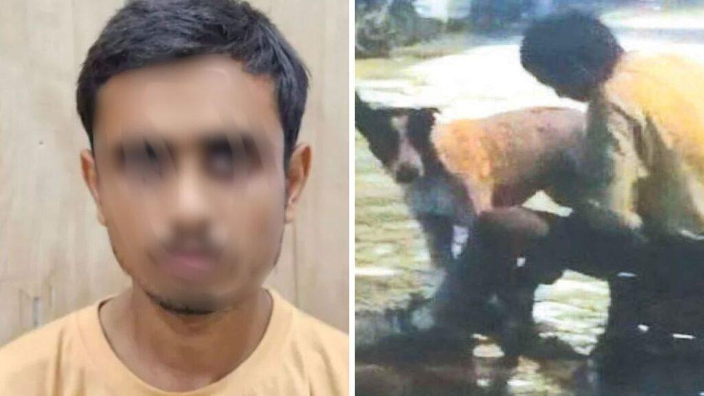 शर्मनाक! लखनऊ में डॉगी से रेप करने वाला युवक अरेस्ट, वीडियो वायरल होने के बाद खूब मचा… शर्मनाक! लखनऊ में डॉगी से रेप करने वाला युवक अरेस्ट, वीडियो वायरल होने के बाद खूब मचा…