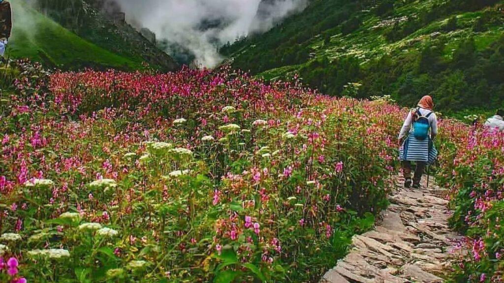 उत्तराखंड की फ्लॉवर वैली में कब खिलते हैं फूल, यहां इस समय जाना है बेस्ट, ऐसे… उत्तराखंड की फ्लॉवर वैली में कब खिलते हैं फूल, यहां इस समय जाना है बेस्ट, ऐसे…