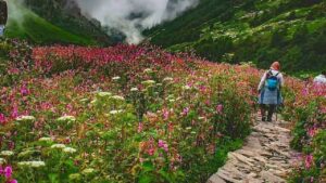 उत्तराखंड की फ्लॉवर वैली में कब खिलते हैं फूल, यहां इस समय जाना है बेस्ट, ऐसे…
