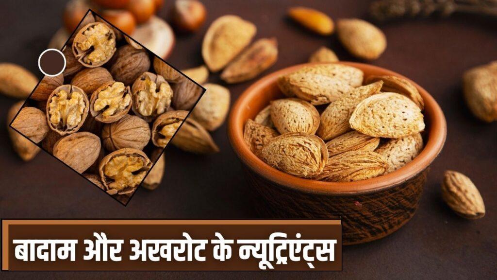 अखरोट या बादाम… किससे मिलता है ज्यादा ओमेगा 3, प्रोटीन और विटामिन ई, एक्सपर्ट…
