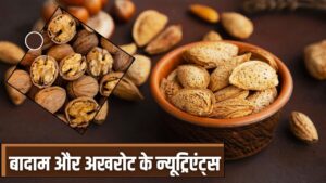 अखरोट या बादाम… किससे मिलता है ज्यादा ओमेगा 3, प्रोटीन और विटामिन ई, एक्सपर्ट…