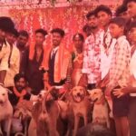 Viral: दूल्हे ने अपनी बारात में बुलाया ‘डोगेश भाई’ और उनकी गैंग, देखिए फिर क्या हुआ?