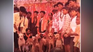 Viral: दूल्हे ने अपनी बारात में बुलाया ‘डोगेश भाई’ और उनकी गैंग, देखिए फिर क्या हुआ?