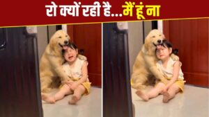 Viral Video: मम्मी की डांट सुनकर रोई बच्ची, तो पालतू डॉगी ने यूं लगा लिया गले!