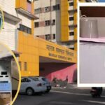 Indore: अब तक 12000 चूहे मारे, फिर भी खत्म नहीं हुआ आतंक… इस अस्पताल में … – भारत संपर्क