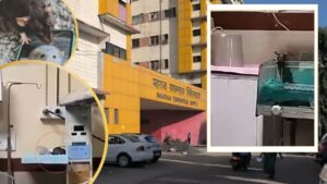 Indore: अब तक 12000 चूहे मारे, फिर भी खत्म नहीं हुआ आतंक… इस अस्पताल में … – भारत संपर्क