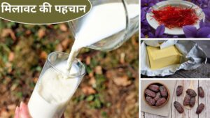 अंडे से दूध तक, घर में यूज होने वाली 10 चीजों में ऐसे पता करें मिलावट