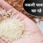क्या आप भी खा रहे हैं नकली चावल? इन आसान तरीकों से पहचानें मिलावट