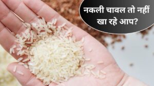 क्या आप भी खा रहे हैं नकली चावल? इन आसान तरीकों से पहचानें मिलावट