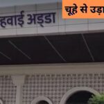 Kanpur News: इंडिगो की फ्लाइट में चूहा, यात्रियों में हड़कंप… 3 घंटे लेट … – भारत संपर्क