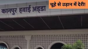 Kanpur News: इंडिगो की फ्लाइट में चूहा, यात्रियों में हड़कंप… 3 घंटे लेट … – भारत संपर्क