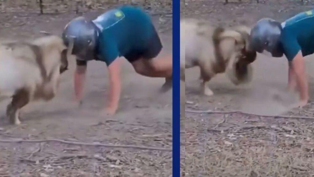 Viral Video: बकरे से भिड़ गया शख्स, अंत में हुआ कुछ ऐसा देखकर नहीं रोक पाएंगे हंसी Viral Video: बकरे से भिड़ गया शख्स, अंत में हुआ कुछ ऐसा देखकर नहीं रोक पाएंगे हंसी