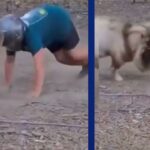 Viral Video: बकरे से भिड़ गया शख्स, अंत में हुआ कुछ ऐसा देखकर नहीं रोक पाएंगे हंसी
