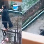 Viral Video: लड़की छत पर बना रही थी रील पर कैमरे रिकॉर्ड हुआ अलग ही सीन, लोग बोले- और…