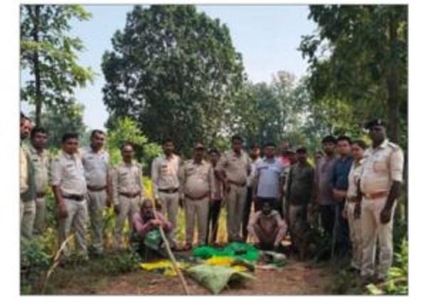 Sarangarh News: गोमर्डा अभ्यारण्य में सर्च ऑपरेशन को बड़ी सफलता, करंट लगाकर शिकार करने… – भारत संपर्क न्यूज़ …