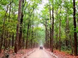 छत्तीसगढ का पहला वन विज्ञान केंद्र खुलेगा आसना में – भारत संपर्क न्यूज़ …