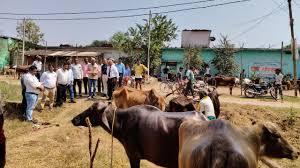 गौरेला पेंड्रा मरवाही : जिला स्तरीय पशु पक्षी प्रदर्शनी एवं प्रतियोगिता का आयोजन 23 और 24… – भारत संपर्क न्यूज़ …
