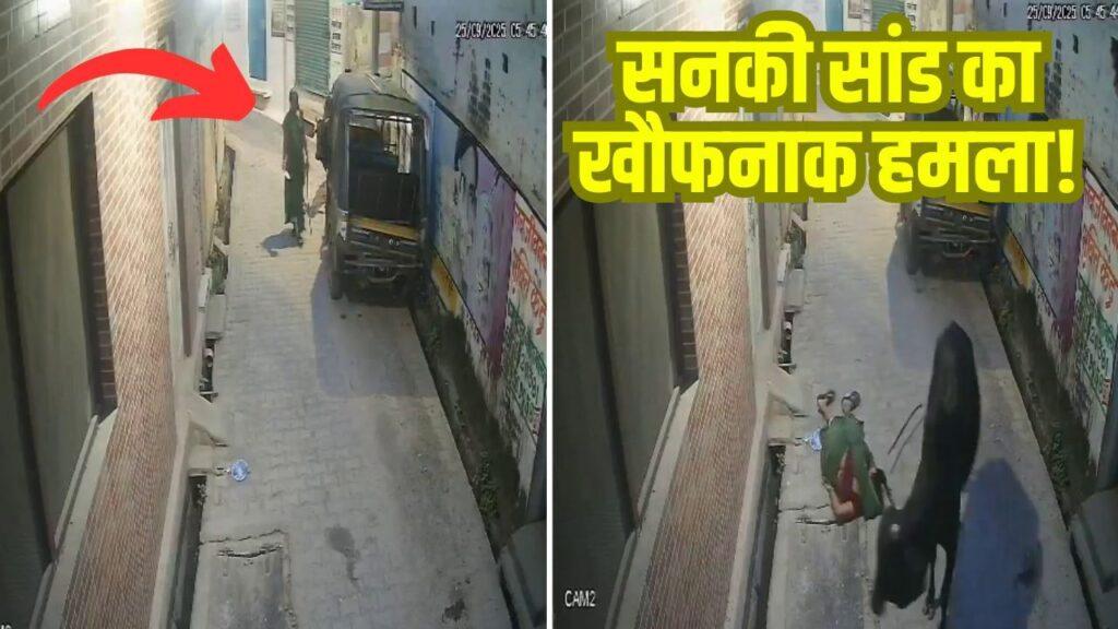 सनकी सांड का खौफनाक हमला! महिला को हवा में कई फीट उछाला; CCTV फुटेज हुआ वायरल सनकी सांड का खौफनाक हमला! महिला को हवा में कई फीट उछाला; CCTV फुटेज हुआ वायरल