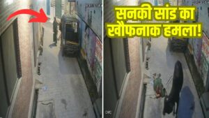 सनकी सांड का खौफनाक हमला! महिला को हवा में कई फीट उछाला; CCTV फुटेज हुआ वायरल
