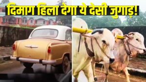 Viral: पीछे से कार, आगे से बैलगाड़ी; देसी जुगाड़ देख चकराया लोगों का दिमाग; देखें…