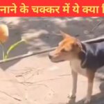 Viral Video: कुत्ते के साथ कर दी ऐसी हरकत, वीडियो देखते ही भड़क गए लोग, बोले- ये तो…