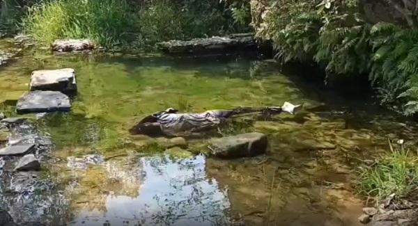 डबरी में तैरती मिली युवक की लाश, हत्या की आशंका, सिर और शरीर पर मिले चोट के निशान – भारत संपर्क न्यूज़ … डबरी में तैरती मिली युवक की लाश, हत्या की आशंका, सिर और शरीर पर मिले चोट के निशान – भारत संपर्क न्यूज़ …