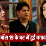 Bigg Boss 19: अशनूर कौर-फरहाना भट्ट की लड़ाई में प्रणीत का डांस, घर संभालते हुए… – भारत संपर्क