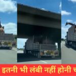 VIDEO: ओवरब्रिज से टकराई जिराफ की गर्दन, फिर जो हुआ…देख लोगों को नहीं हुआ यकीन