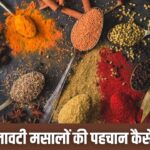 काली मिर्च से धनिया पाउडर तक…किसी में पपीता के बीज तो किसी में भूसे की मिलावट,…