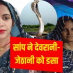 देवरानी-जेठानी की सांप के काटने से मौत, 4 दिन में दोनों को डसा; गांव में डर… – भारत संपर्क