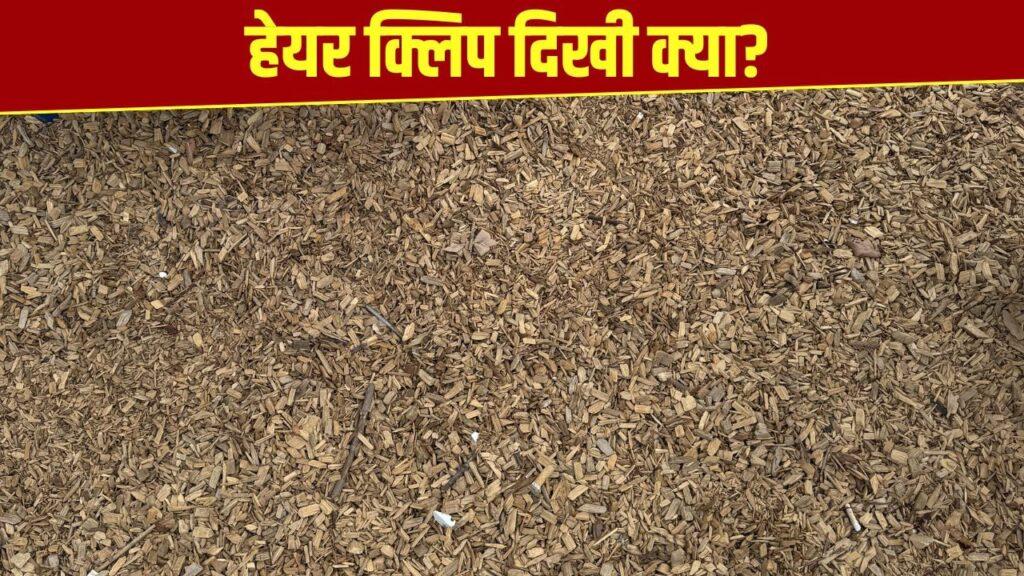 दिमाग का दही कर देगी ये तस्वीर! बताइए क्या आपको इसमें कोई हेयर क्लिप दिखी?