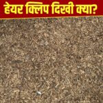 दिमाग का दही कर देगी ये तस्वीर! बताइए क्या आपको इसमें कोई हेयर क्लिप दिखी?