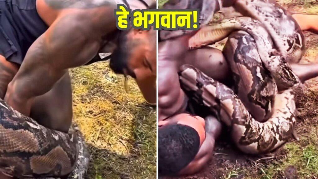 Viral: अजगर ने पलक झपकते ही किया जानलेवा हमला! खौफनाक Video देखकर कांप जाएगी रूह! Viral: अजगर ने पलक झपकते ही किया जानलेवा हमला! खौफनाक Video देखकर कांप जाएगी रूह!