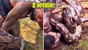 Viral: अजगर ने पलक झपकते ही किया जानलेवा हमला! खौफनाक Video देखकर कांप जाएगी रूह!