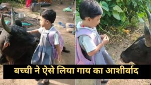 Viral Video: स्कूल जाने से पहले बच्ची ने लिया गाय का आशीर्वाद, कही ऐसी बात बन जाएगा… Viral Video: स्कूल जाने से पहले बच्ची ने लिया गाय का आशीर्वाद, कही ऐसी बात बन जाएगा…