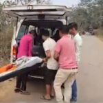 झाड़ियों में मिली युवक की लाश, हत्या की जताई जा रही आशंका, झोलाछाप डॉक्टर का करता था … – भारत संपर्क न्यूज़ …